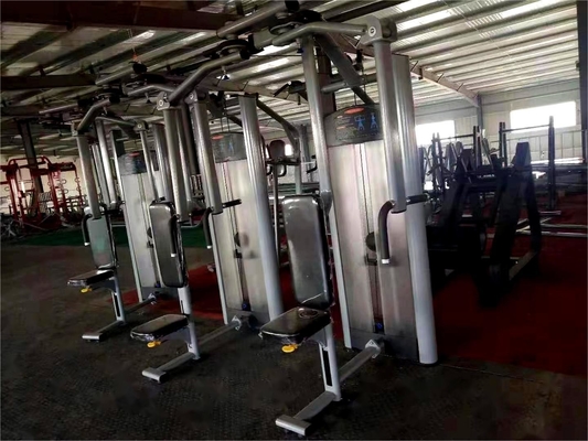 2020 Design Commercial Rear Delt Pec Fly Machine with Optional Selectable Frame Color