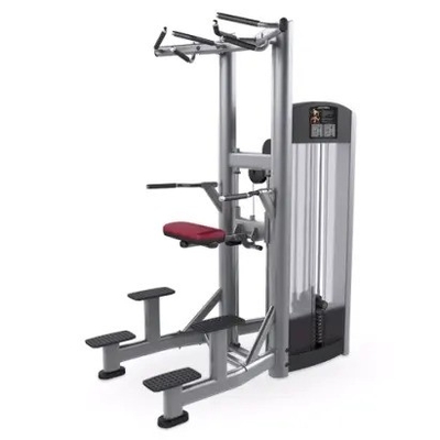 Strength Training Pin Loaded Pull Up Bar Triceps Deltoids Workout Dipping Machine