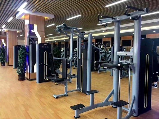 Strength Training Pin Loaded Pull Up Bar Triceps Deltoids Workout Dipping Machine