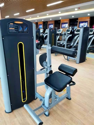 Commercial Gym Equipment Pin Loaded Abdominal Trainer Adjustable Back Extension Machine