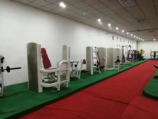 Commercial Gym Equipment Pin Loaded Abdominal Trainer Adjustable Back Extension Machine