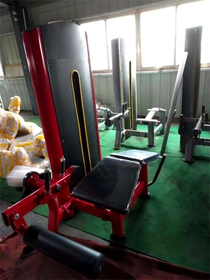 Steel Gym Equipment Pin Loaded Adjustable Seated Leg Extension and Prone Leg Curl Dual Function