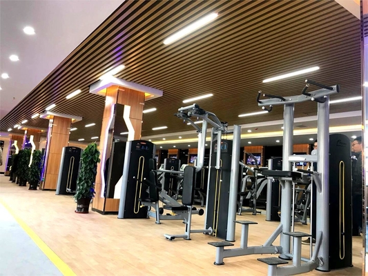 Steel Gym Equipment Pin Loaded Adjustable Seated Leg Extension and Prone Leg Curl Dual Function