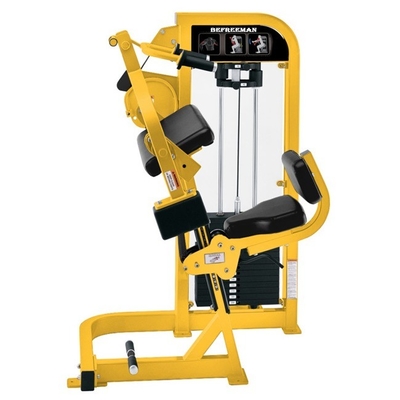 Triceps Machine for Strength Training Bicep Curl/Tricep Extension in Gym Equipment