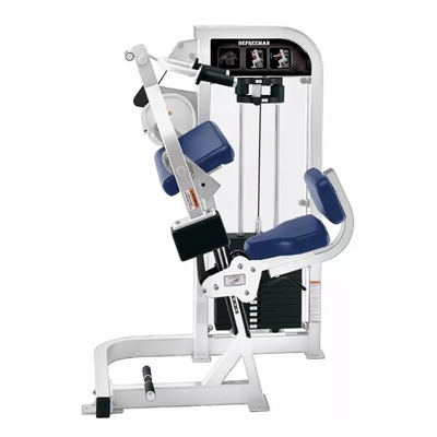 Triceps Machine for Strength Training Bicep Curl/Tricep Extension in Gym Equipment
