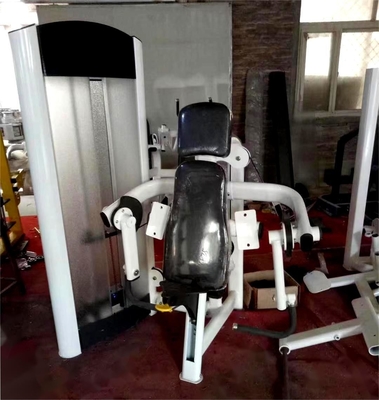 Commercial Gym Equipment Best Biceps Curl Machine with Customized Logo Availabled