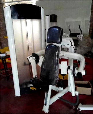 Commercial Gym Equipment Best Biceps Curl Machine with Customized Logo Availabled