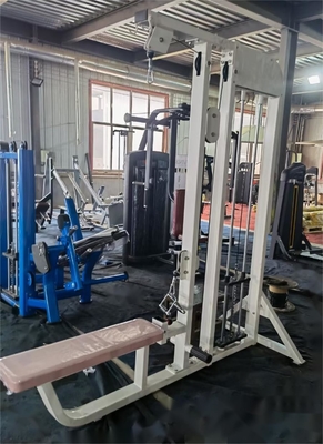 Dropset Pins Dual Function Chest Back Exercises Low Row Lat Pulldown Machine for 3years