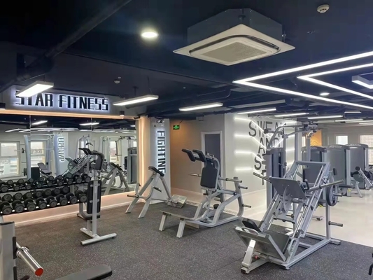 Home Commerical Exercise Chest Fly and Rear Delt Machine 1540*1790*1480 mm Dimensions