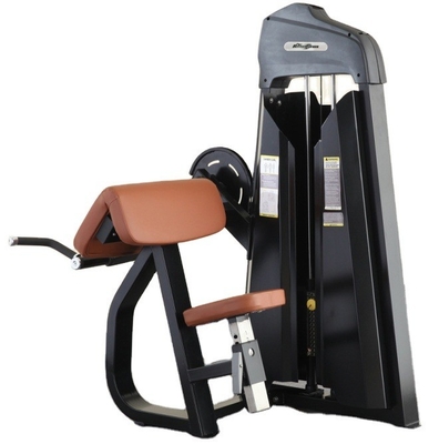 Commercial Strength Training Gym Equipment Bicep Curl Machine with Customized Design