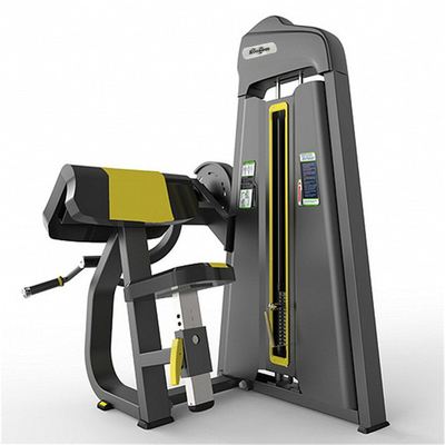 Commercial Strength Training Gym Equipment Bicep Curl Machine with Customized Design