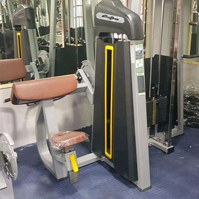 Commercial Strength Training Gym Equipment Bicep Curl Machine with Customized Design