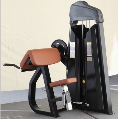 Pin Loaded Seated Shoulders Back Workout Camber Curl Biceps Machine for Your Gym