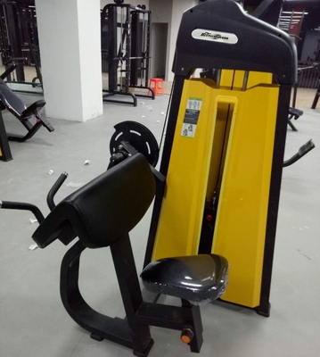 Pin Loaded Seated Shoulders Back Workout Camber Curl Biceps Machine for Your Gym