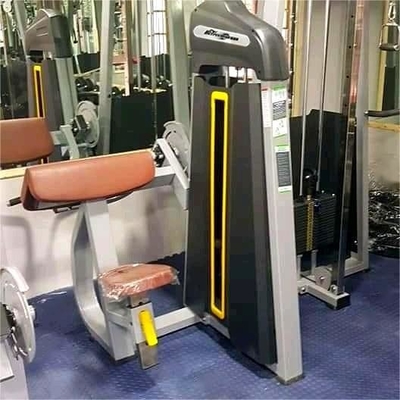 Pin Loaded Seated Shoulders Back Workout Camber Curl Biceps Machine for Your Gym
