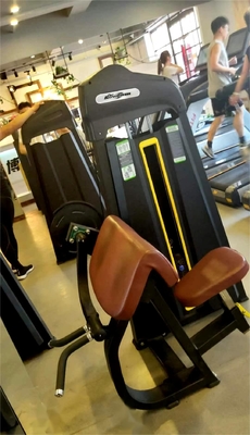 Pin Loaded Seated Shoulders Back Workout Camber Curl Biceps Machine for Your Gym
