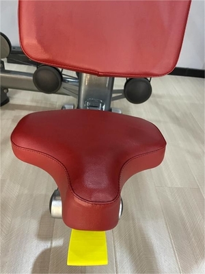 Experience the Benefits of Befreeman's Medium Loader Shoulder Press 1350*1510*1650MM