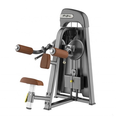 Steel Pin Loaded Seated Shoulder Lateral Raise Strength Equipment with Adjustable Seat
