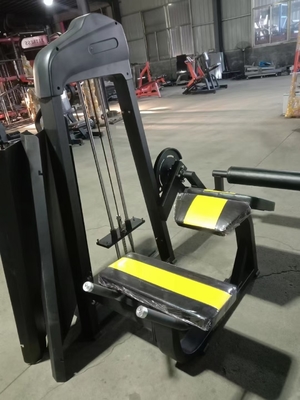 Customized Steel Gym Equipment for Leg Curl and Leg Extension in Shandong Commercial