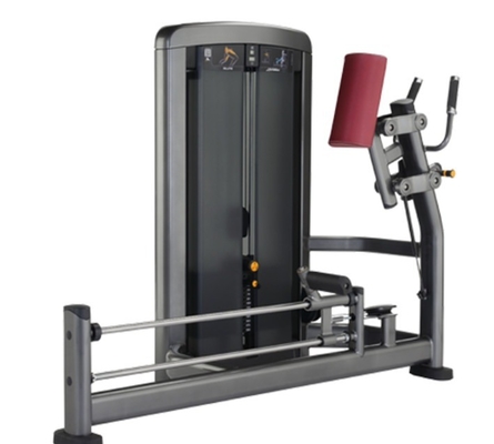 Gym Equipment for Building Quadriceps Medium Loader Standing Glute Kickback Extension