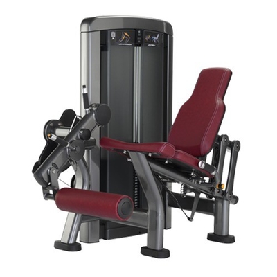 Adjustable Seated Leg Extension for Quadriceps and Shins Customerized Medium Loader