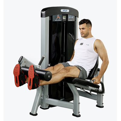 Adjustable Seated Leg Extension for Quadriceps and Shins Customerized Medium Loader