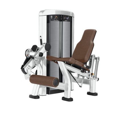 Adjustable Seated Leg Extension for Quadriceps and Shins Customerized Medium Loader