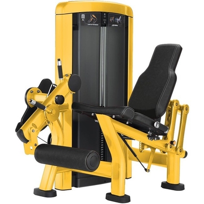 Adjustable Seated Leg Extension for Quadriceps and Shins Customerized Medium Loader