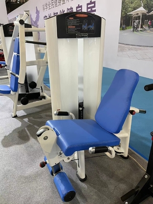 Adjustable Seated Leg Extension for Quadriceps and Shins Customerized Medium Loader