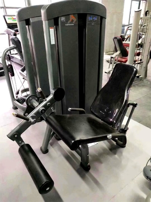 Adjustable Seated Leg Extension for Quadriceps and Shins Customerized Medium Loader