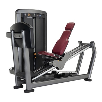 Medium Loader Gym Equipment Adjustable Seated Leg Press Machine for Glutes and Quads