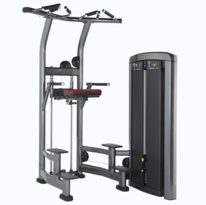 Steel Pin Loaded Pull Up Bar Triceps Deltoids Workout Assisted Chin Dip Machine for Steel