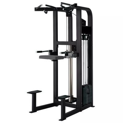 Customized Logo Pin Loaded Fitness Selected Assist Dip Chin Machine For Bodybuilding 262KG