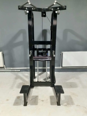 Customized Logo Pin Loaded Fitness Selected Assist Dip Chin Machine For Bodybuilding 262KG