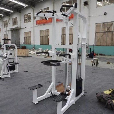 Customized Logo Pin Loaded Fitness Selected Assist Dip Chin Machine For Bodybuilding 262KG
