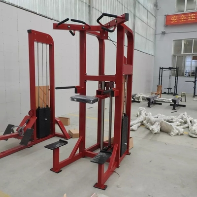 Customized Logo Pin Loaded Fitness Selected Assist Dip Chin Machine For Bodybuilding 262KG