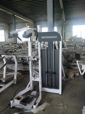Customized Logo Gym Professional Fitness Equipment Pin Loaded Lateral Raise Machine