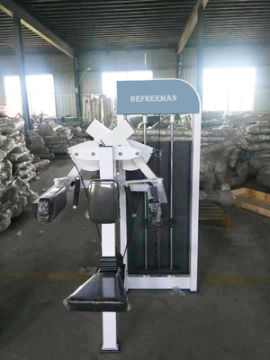Customized Logo Gym Professional Fitness Equipment Pin Loaded Lateral Raise Machine