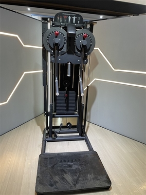 Multi Function Gym Equipment for Shoulder Press Back Extension and Standing Lateral Raise