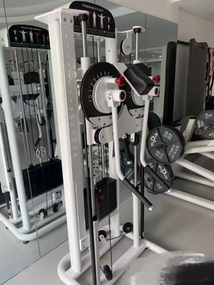 Multi Function Gym Equipment for Shoulder Press Back Extension and Standing Lateral Raise
