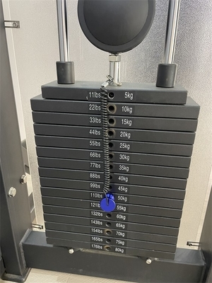 Medium Loader Commercial Exercise Machine Pectoral Fly/Rear Deltoid Selection Equipment