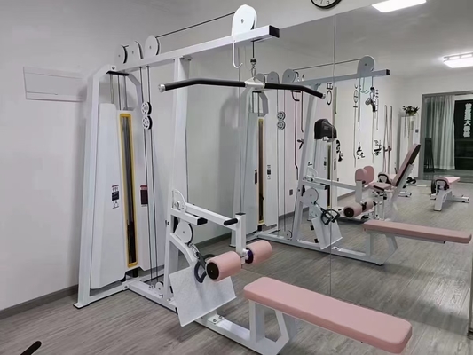 Commercial Gym Fitness Equipment Seated Low Pully Row with Customized Logo Availabled