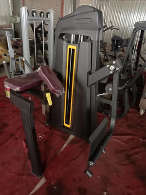 Medium Loader Gym Fitness Equipment Pin Loaded Seated Bicep Curl Machine for Workout