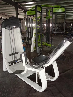 Medium Loader Abductor A Customized Logo Availabled for Commercial Strength Training