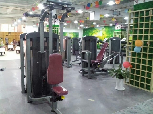 Gym Pin Load Equipment Rear Delt Pec Fly Machine Customerized for Strength Training