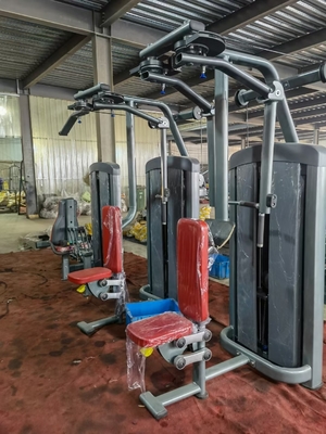 Gym Pin Load Equipment Rear Delt Pec Fly Machine Customerized for Strength Training