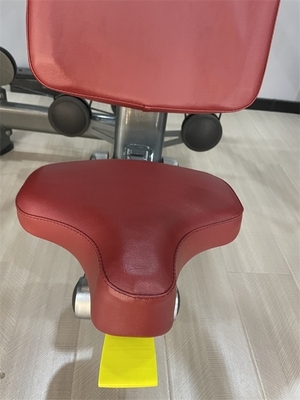 Body Building Gym Equipment Shoulder Press Machine with Customized Logo and Color