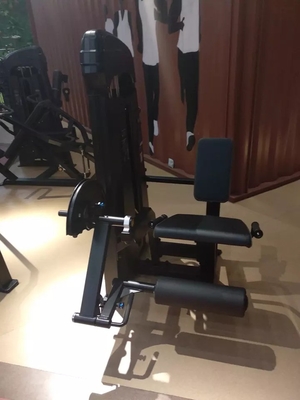 Befreeman Seated Leg Extension Machine for Commercial Fitness and Strength Training