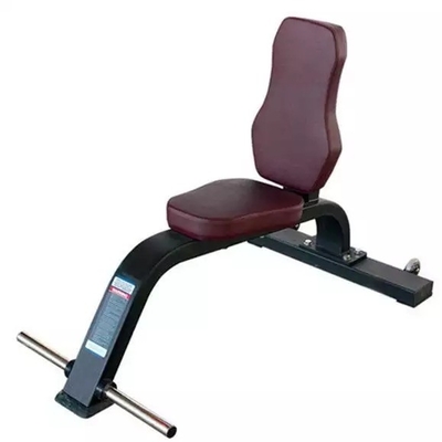 Multi-Purpose Bench for Commercial Customerized Gym Equipment from Befreeman Fitness