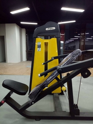Commercial Gym Equipment Incline Chest Press with Steel Frame and Customerized Design